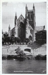 Worcestershire Postcard - Worcester Cathedral  ZZ1573