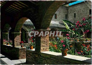Modern Postcard Assisi San Damiano Shrine of the Cloister