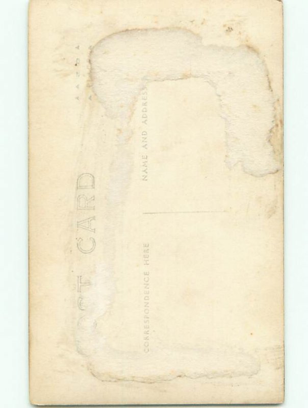 Old rppc NATURE SCENE Great Postcard AB0567