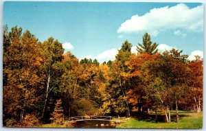 Postcard - Long Pine Playground - Longville, Minnesota