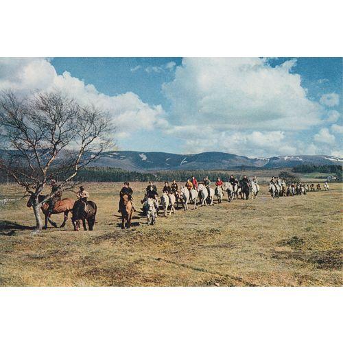 Postcard of Newtonmore Pony Trekkers (250817)