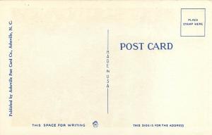 Shenendoah Park Virginia VA trail Postcard