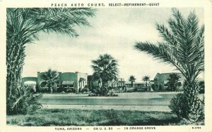 Peach Auto Court Hotel roadside Yuma Arizona Teich US 80 Postcard 20-9040