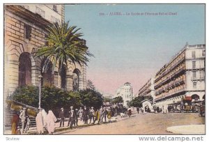 Le Lycee Et l'Avenue Bab-el-Oued, Alger, Algeria, Africa, 1900-1910s