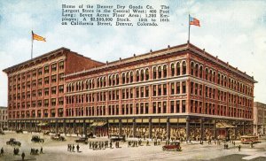 Postcard Early View of Denver Dry Goods Co. in Denver, CO.  K2.