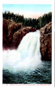 BLOOM, YP65, Upper Falls, Yellowstone National Park