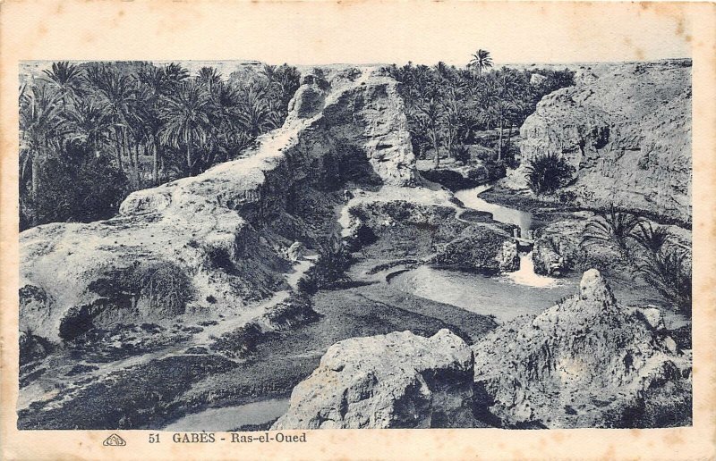 Lot295 gabes ras el oued  tunisia africa