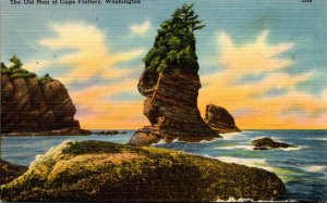 Washington The Old Man Of Cape Flattery