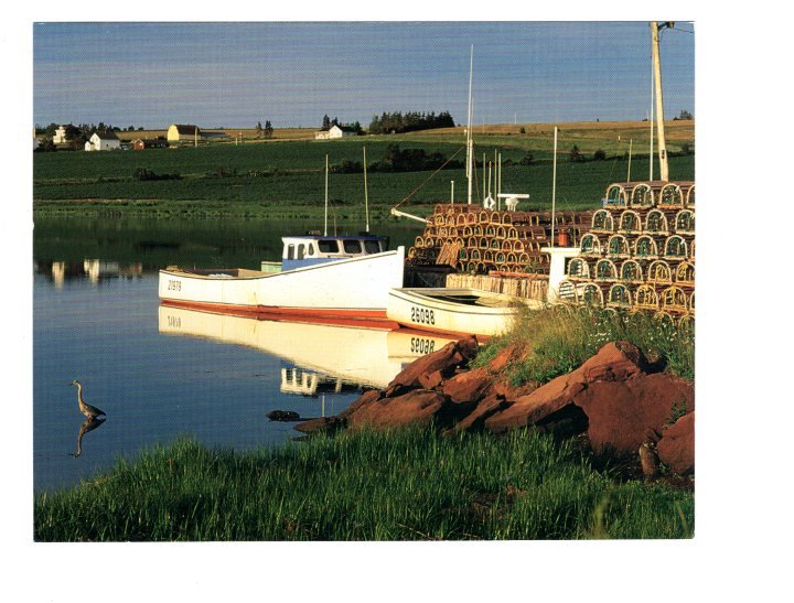 French River, Lobster Trapes, Prince Edward Island, Large 5 X 7 inch Postcard