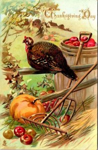 Holiday Greeting THANKSGIVING DAY Turkey~Pumpkin  ca1910's Raphael Tuck Postcard