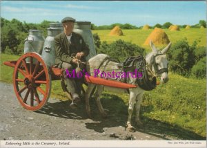 Ireland Postcard - Delivering Milk To The Creamery   RR20731