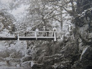 L&NWR Official Wales LLANDRINDOD WELLS ALPINE BRIDGE c1905 Postcard
