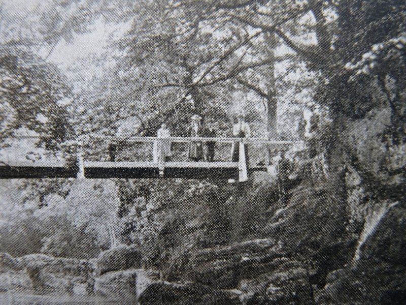 L&NWR Official Wales LLANDRINDOD WELLS ALPINE BRIDGE c1905 Postcard
