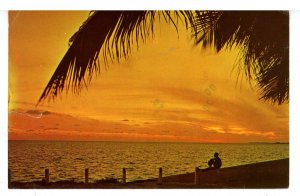 FL - Sunset  (crease, tear)