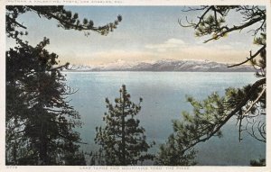 Lake Tahoe And Mountains Thro' The Pines, California 1919 Vintage Postcard