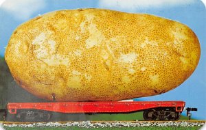 Potato Idaho, USA Unused 