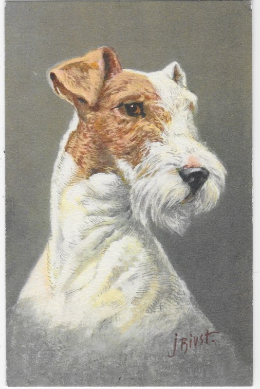 Fox Terrier Dog Signed Printed in Switzerland