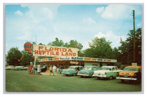 Perry Florida Reptile Land Postcard GULF Gas Station Old Cars