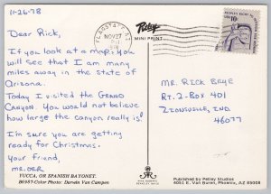 Arizona~Yucca~Spanish Bayonet~Red Stone Rock Formations~Continental Postcard 