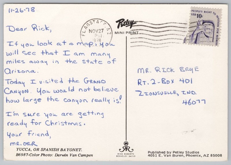 Arizona~Yucca~Spanish Bayonet~Red Stone Rock Formations~Continental Postcard 