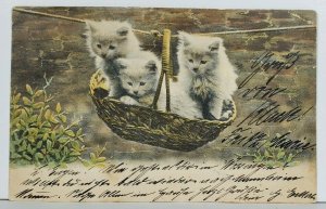 Adorable Kittens in Basket On Line Precious little Cats 1903 Postcard O1