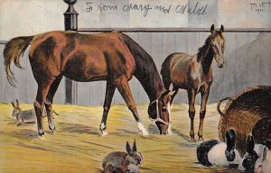 Barn Animals Horses 1906 