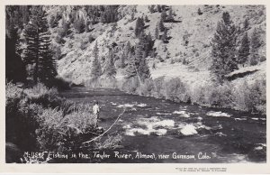 Colorado Almont Fishing In The Taylor River Near Gunnison Real Photo