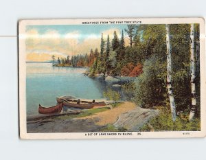 Postcard Greetings from the Pine Tree State A Bit of Lake Shore in Maine USA