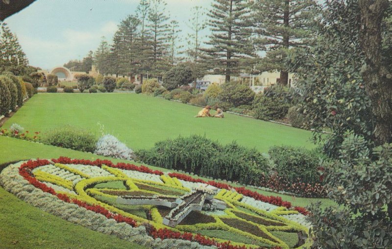 The Hurst Floral Clock Napier New Zealand Postcard
