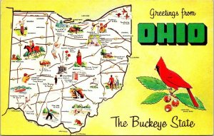 Postcard Greetings from Ohio The Buckeye State Map Cardinal Chrome Unposted 2619