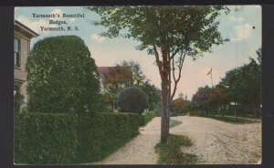 Nova Scotia YARMOUTH Beautiful Hedges Pub by H. McKinlay ~ DB