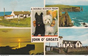 JOHN O'GROATS, Caithness, Scotland, PU-1971; The Last House, Sunset Over Stro...