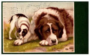 Dog , Saint  Bernard , Mother with puppy