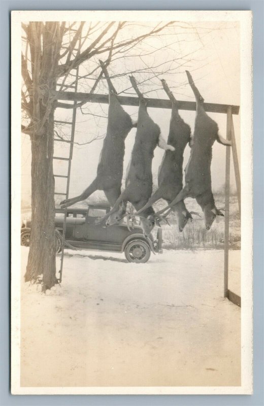 HUNTERS CARS w/ DEER BODIES VINTAGE REAL PHOTO POSTCARD RPPC