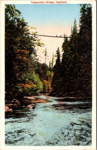 VINTAGE POSTCARD THE CAPILANO SUSPENSION BRIDGE AT VANCOUVER BRITISH COLUMBIA