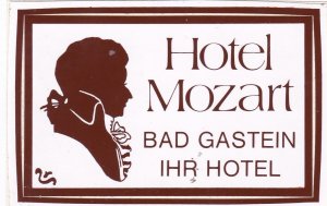 Austria Bad Gastein Hotel Mozart Vintage Luggage Label sk3554