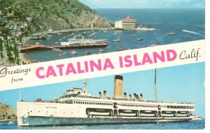PC6446  GREETINGS FROM CATALINA ISLAND, CA