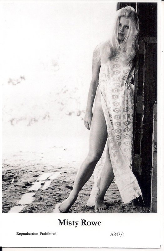 Beautiful Actress Misty Rowe, Dress, Sexy Girl, Pretty Woman, Legs Hee Haw TV