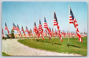 Bakersfield California~Avenue American Flags @ Greenlawn Mem'l Park~Vtg Postcard