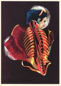 Skeleton as Matador Spanish Bones Jacket 8x6 Chile Art Postcard