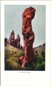 USA Major Domo Colorado Vintage Postcard 09.53