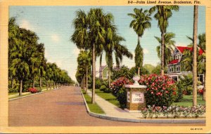 Florida Bradenton Beautiful Palm Lined Avenue 1953 Curteich