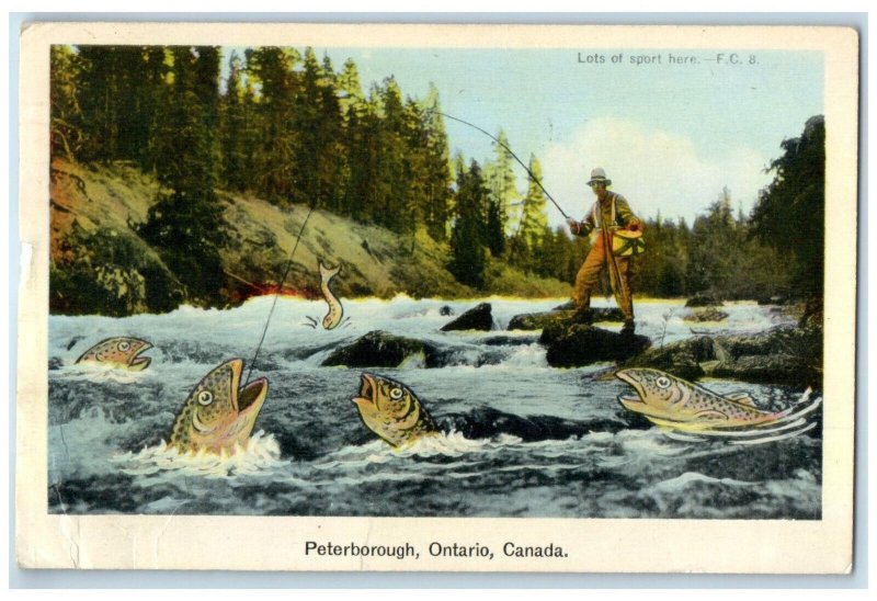 1951 Fishing Big Fishes Got Caught in Peterborough Ontario Canada Postcard