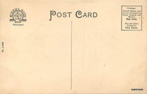 c1910  apple Fruit Farming Agriculture Delta Colorado Excelsior postcard 11490