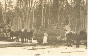 US    PC4873  SLEDDING OF THE LOGS, NORTHERN WISCONSIN