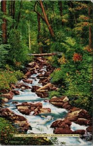 Porters Creek Great Smoky Mountains National Park TN Tennessee Postcard H5