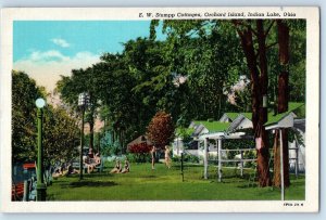 1947 Indian Lake Ohio Vintage Postcard Stump Cottages Orchard Island Field Park