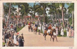 Postcard The Paddock Miami Jockey Club Hialeah FL