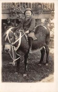 Young boy on a donkey Child, People Photo Writing on back 