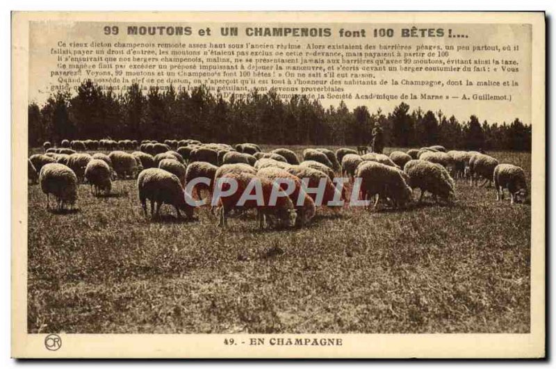 Old Postcard Sheep and Champagne Champagne are Beasts